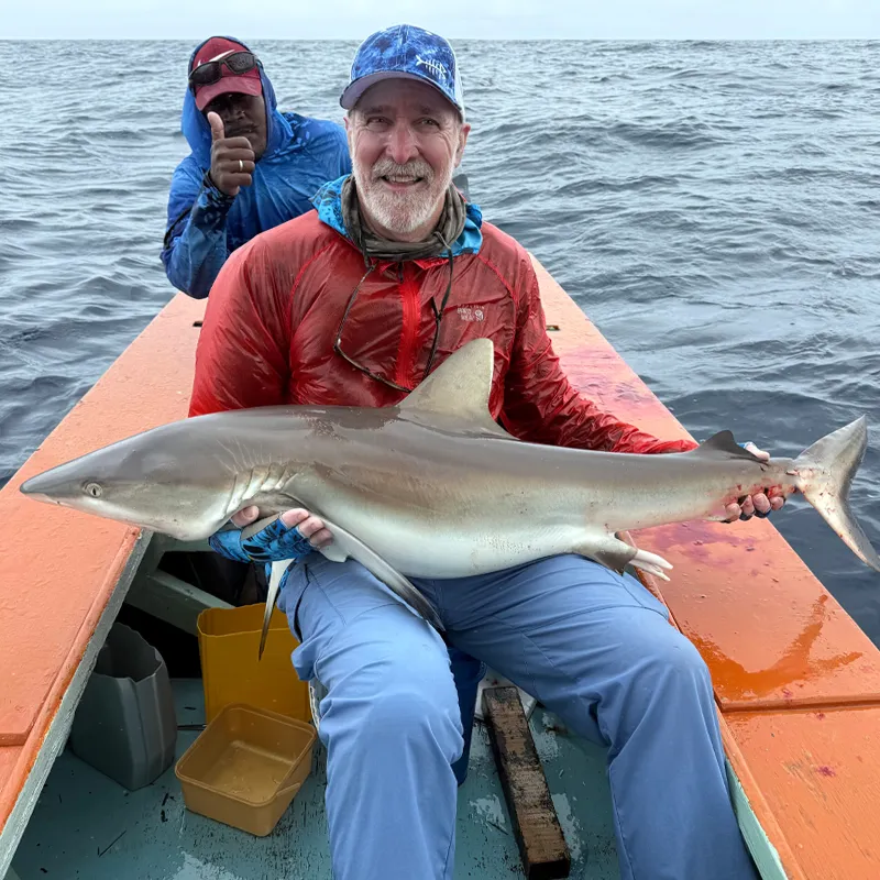 Shark Fishing Shark meat is often eaten for the evening meal at The Villages.