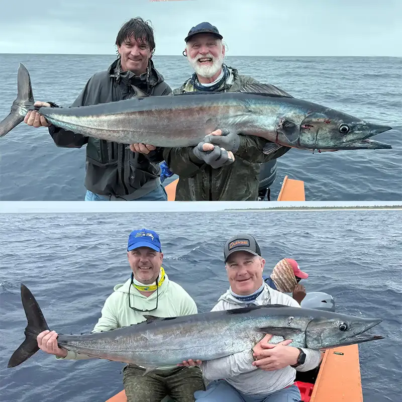 Wahoo Fishing Wahoo fishing at The Villages on Christmas Island.